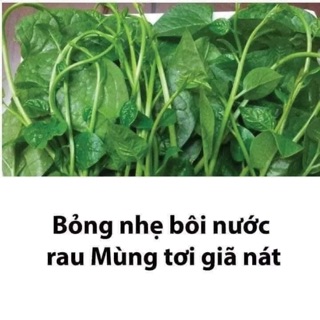 mồng tơi- ship 7 ngày