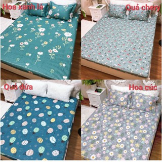 Ga gối cotton 100% ga chun trần đủ size, vỏ gối 45x65 cm (Nhắn tin/ Ghi chú chọn mẫu)