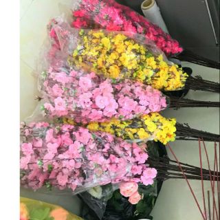 1 cành hoa anh đào giá bất chấp