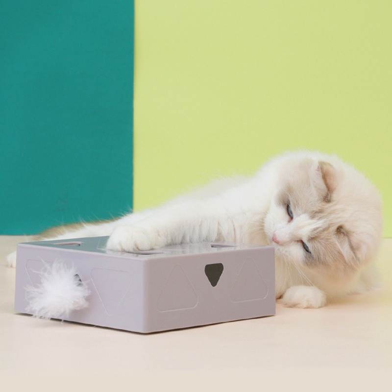 Đồ Chơi Lông Vũ MềM MạI Cho MèO