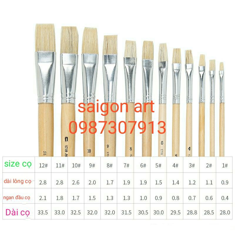 Bộ 12Cây Lông Lợn Thuộc Tốt, Đầu Bằng Dẹp, Tròn Maries 579