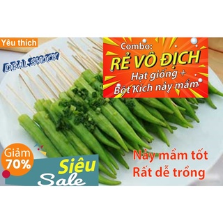 [Combo rẻ vô địch HẠT GIỐNG + GÓI  KÍCH NẢY MẦM] - 5 hạt giống quả đậu bắp xanh