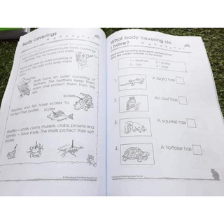 Bộ 300 Kindergarten trọn bộ 3c