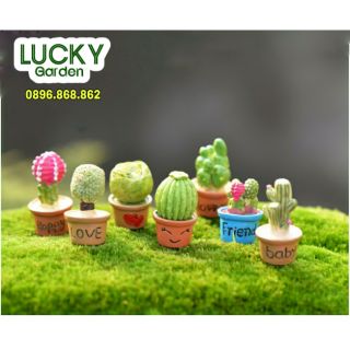 Xương Rồng Mini Mô Phỏng - Phụ Kiện Trang Trí Tiểu Cảnh Terrariums