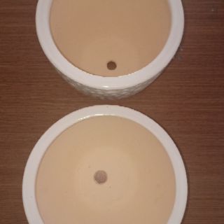 Chậu Sứ Trắng Trồng Cây - Mã C1, C2