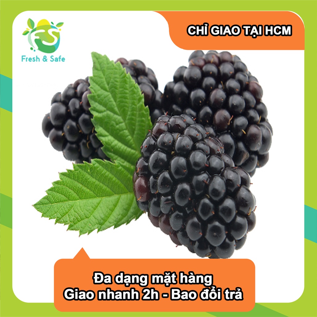 Phúc Bồn Tử Đen Blackberry - hộp 170g
