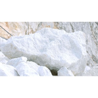 Vôi bột cho cây trồng - TPX