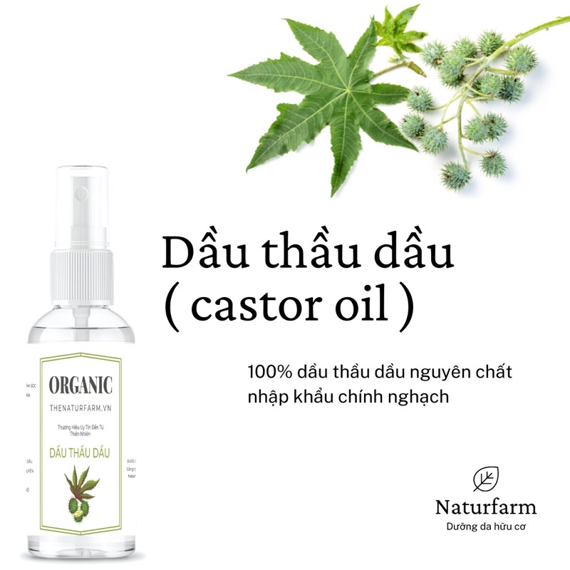 Dầu nền hữu cơ nguyên chất 100ML đa công dụng