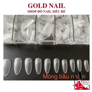 Hộp móng úp bầu nhám sẵn, hộp 500 móng