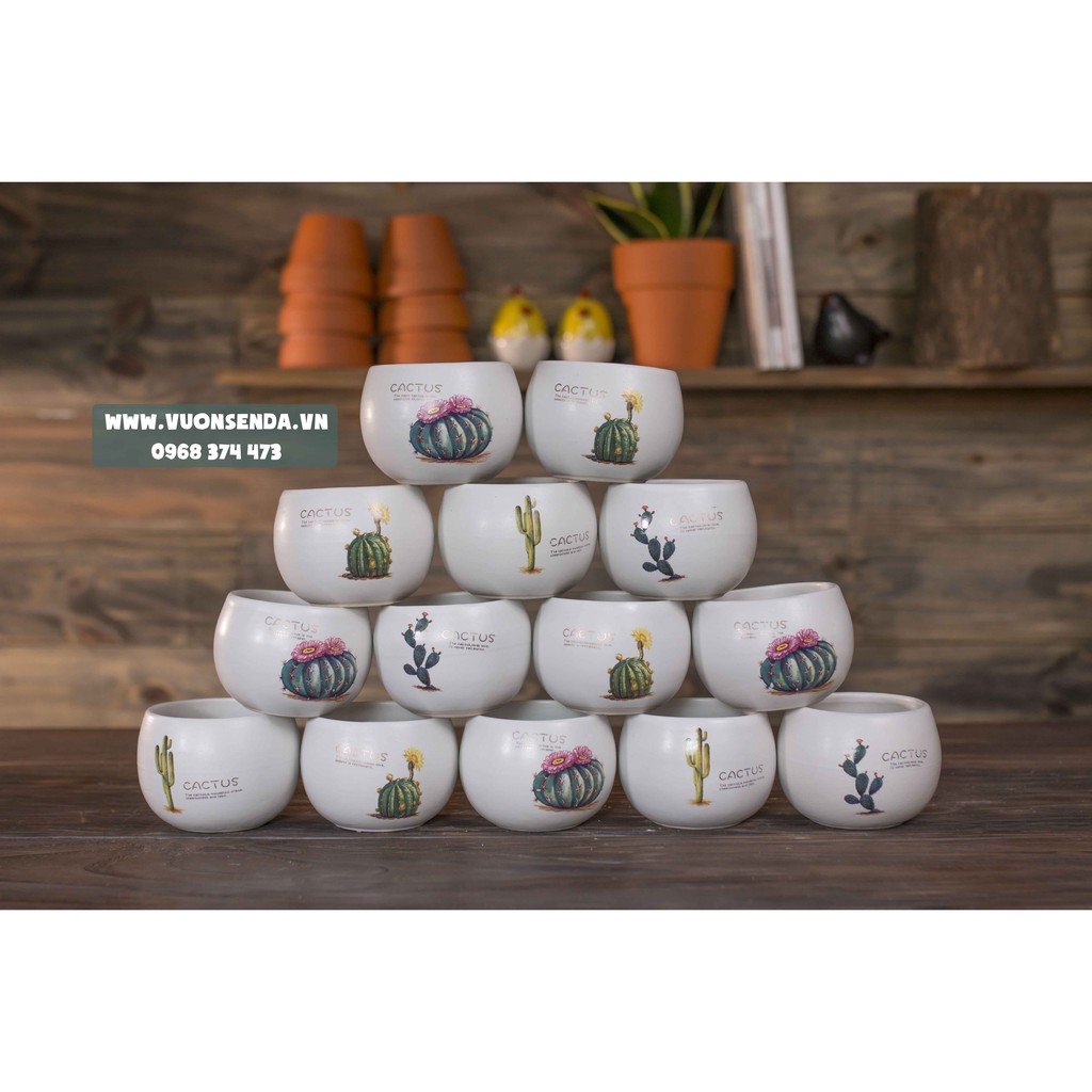 Chậu sứ hạt dẻ mini 8x8cm - In hình