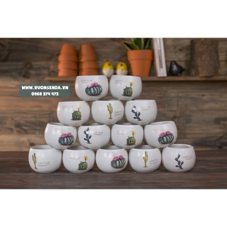 Chậu sứ hạt dẻ mini 8x8cm - In hình
