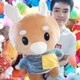 BÒ CHĂM CHỈ SIÊU TO GẤU BÔNG BÒ CHĂM CHỈ (ẢNH THẬT 100%)