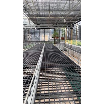 Vĩ nhựa lớn lót sàn hoa lan khổ 95cm*95cm*1,8cm.