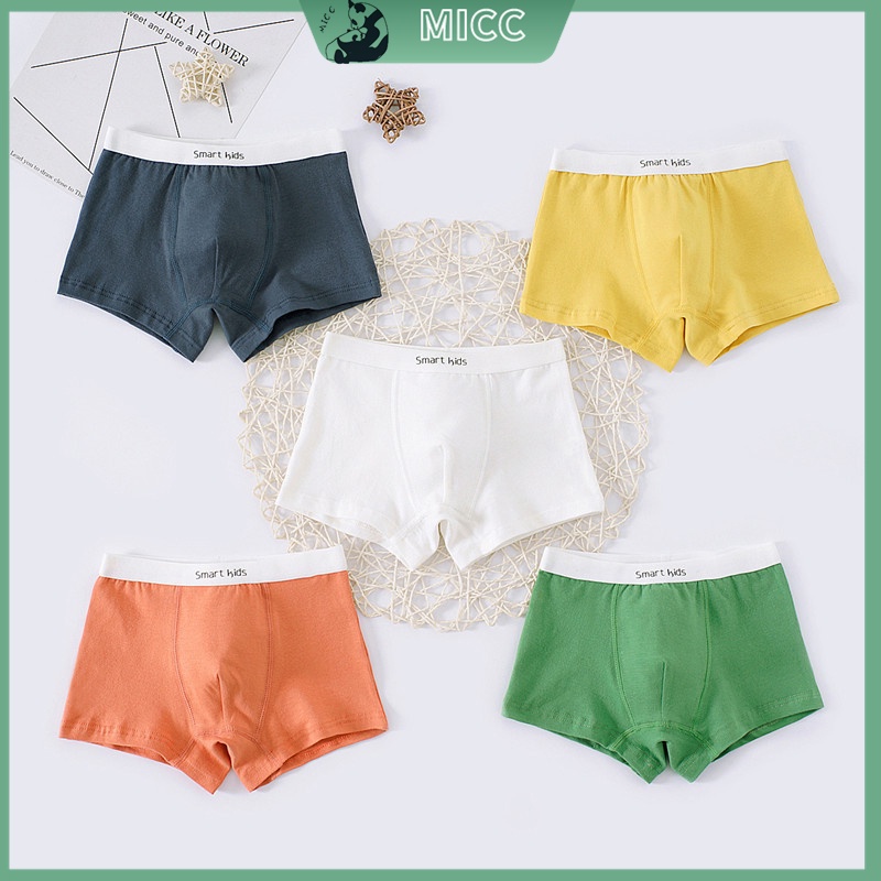 Bộ 5 Quần Lót Boxer Cotton Kẻ Sọc Nhiều Màu Sắc Cho Bé Trai 6-12 Tuổi