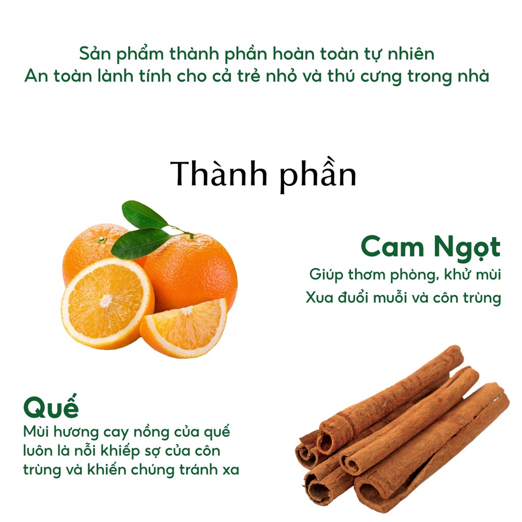 Bình xịt tinh dầu diệt mối và côn trùng Purevess - an toàn và tiện lợi dung tích 100ml, 500ml