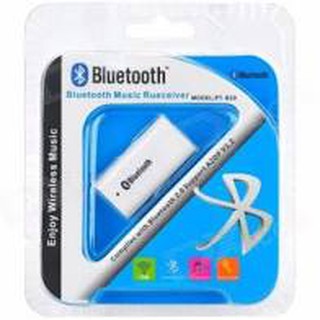 USB Bluetooth PT 810