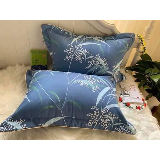 Vỏ Gối Cotton Hàn Quốc, Set 2 Chiếc Vỏ Gối Loại Dày Đẹp Có Lót Bông, Kích Thước 45cm x 65cm