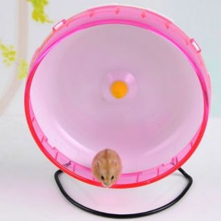 WHEEL BOER 21CM KÈM ĐẾ SẮT
