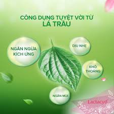 Dung dịch vệ sinh phụ nữ Lactacyd lá trầu, kháng khuẩn, ngăn mùi, dưỡng ẩm da, lưu giữ hương thơm dài lâu(Chai 150ml)