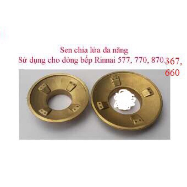 Mâm to và mâm nhỏ bếp gas Rinnai RV-365, 460, 660, 367, 375, 377, 577, 770, 870, 970 (bên to + bên nhỏ)