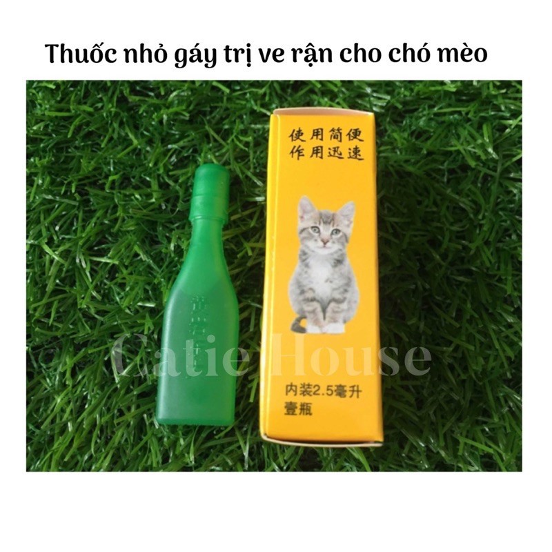 Trị ve giận chó mèo , nhỏ gáy chó mèo