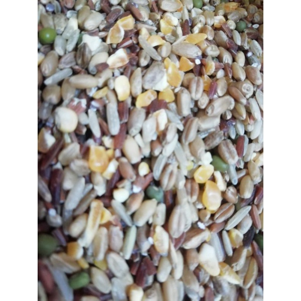 Ngũ cốc gà đá 1kg