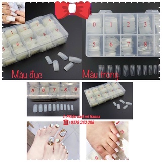 Móng úp chân fom dài - hộp 500móng #[pk nail mi Hanna]