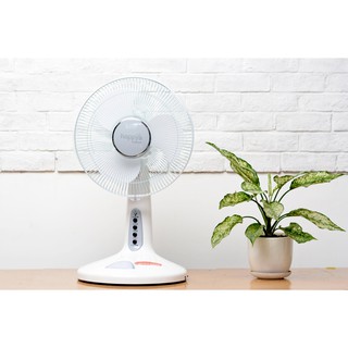 Quạt tích điện Happy's HDF-3031R