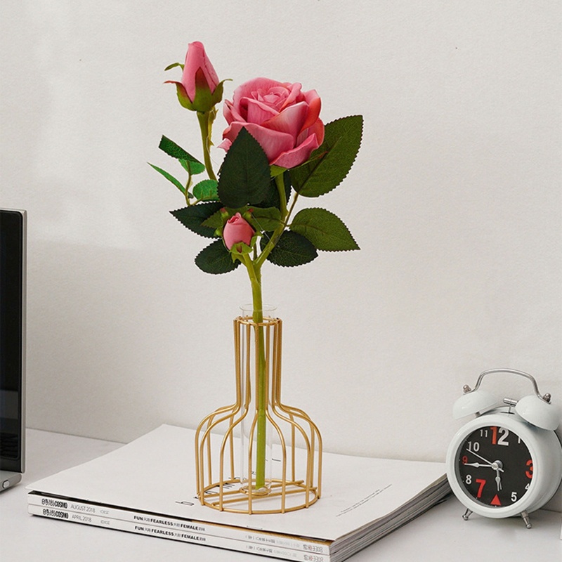 Chậu Kính Trồng Cây Bằng Sắt Phong Cách Bắc Âu Trang Trí Nội Thất