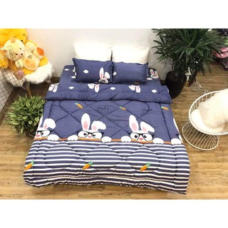 [Giá Hủy Diệt] Bộ 5 Món Chăn Phao Ga Gối Cotton Poly Loại 1 Bông Dày (Không Phải Loại Mỏng) Ibox để chọn thêm mẫu nhé