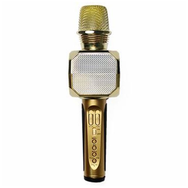 Míc hát karaoke bluetooth SD-10 BH 6 tháng đổi mới