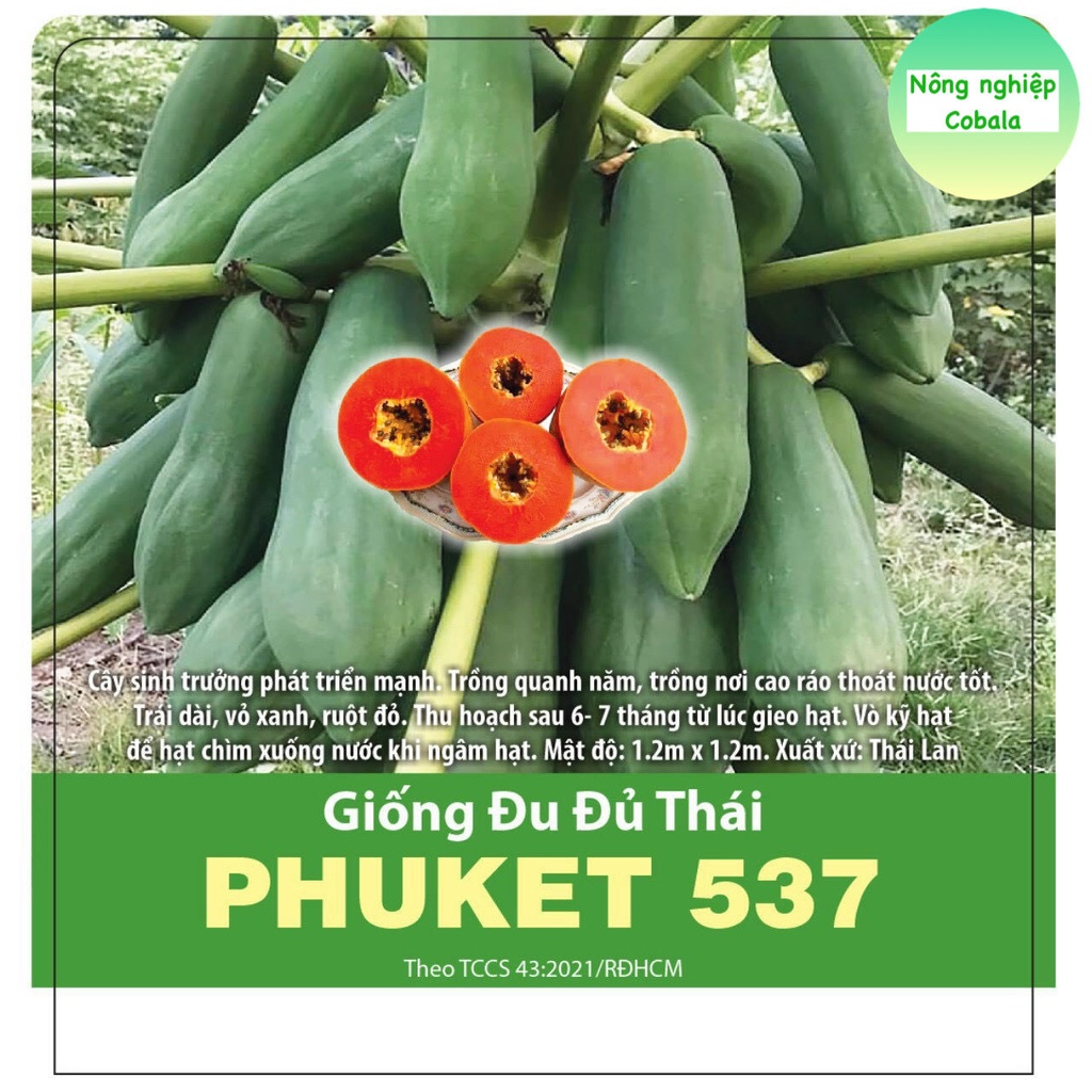 [Mã 155LIFESALE giảm 8% đơn 99k] Hạt Giống Đu Đủ Thái (PHUKET537) (20 Hạt)