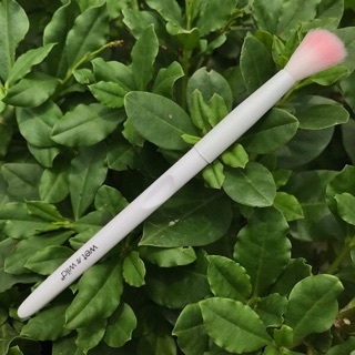 Cọ lẻ wet n wild