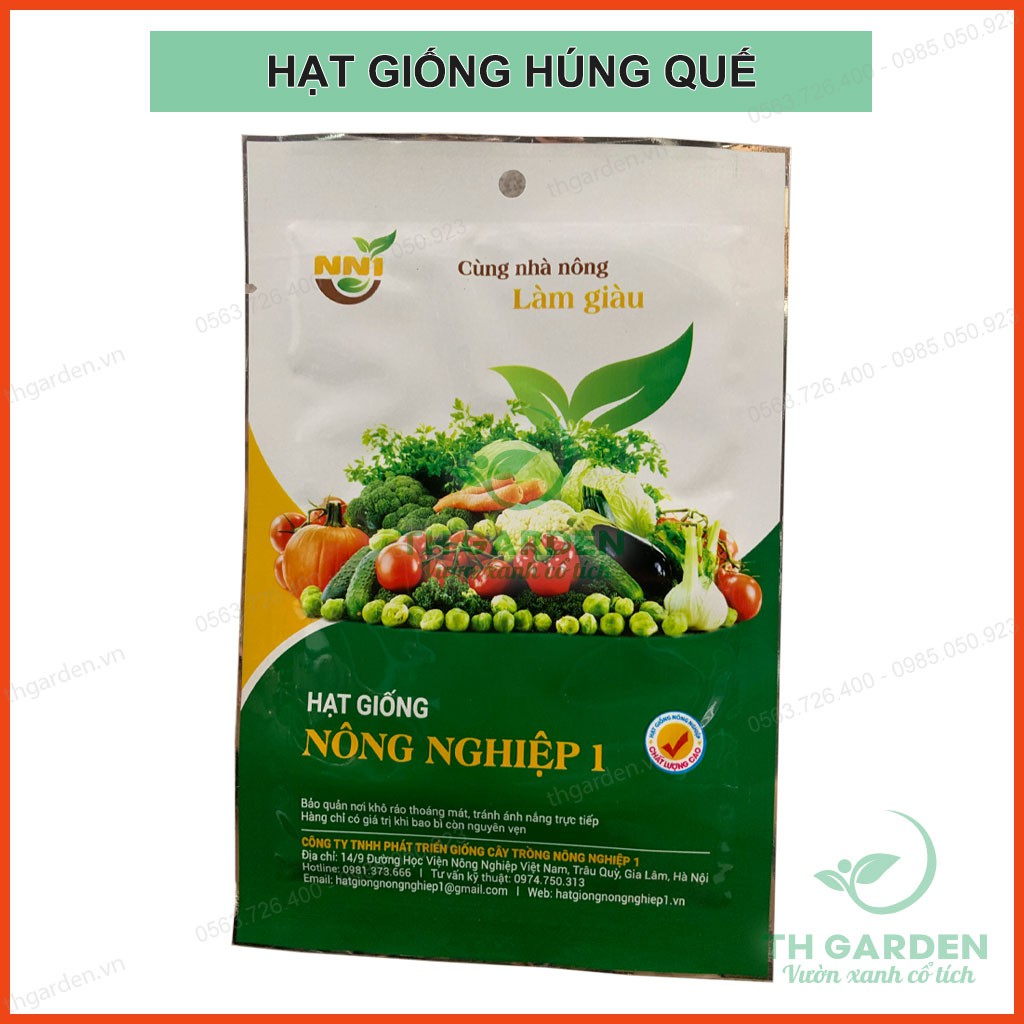 HẠT GIỐNG HÚNG QUẾ CAO SẢN 5GRAM ( HÚNG CHÓ) - HỌC VIỆN NÔNG NGHIỆP VIỆT NAM