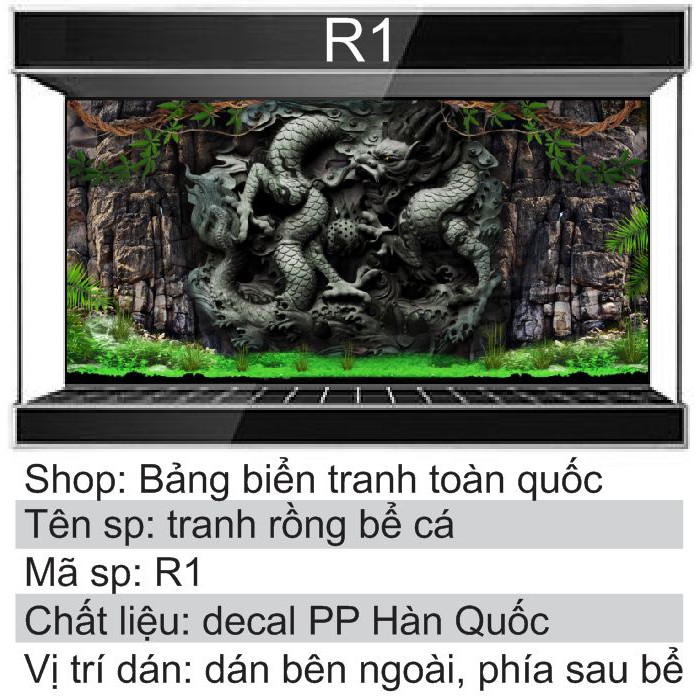 Tranh 3D dán bể cá mẫu rồng R1