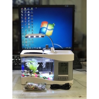 Bể Cá Mini [Đồng Hồ + Đèn Bàn + Sỏi, Cây Thủy Sinh] Bể cá để bàn-Hồ cá