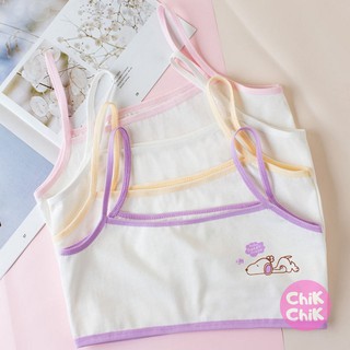 Áo lá học sinh cotton K02