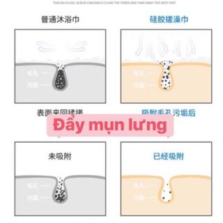 DỤNG CỤ KỲ LƯNG SILICON ( GIAO MÀU NGẪU NHIÊN)