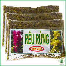 Rêu rừng trồng lan Newzita