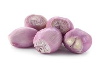 Chuyên sỉ Hành tím InĐô