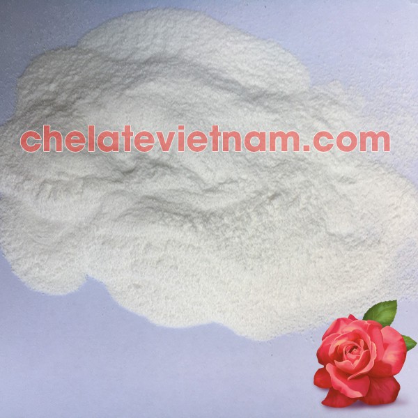 GA3 - Gibberellic Acid 90% - ga3 nguyên chất gói