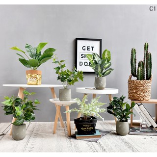 Cây giả decor trang trí loại nhỏ