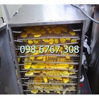 Máy sấy hoa quả, thực phẩm,  máy sấy 10 khay, giữ nguyên được hương vị