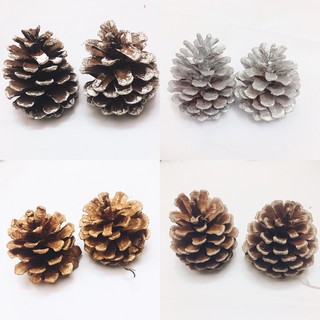 GỒM 02 Trái thông trang trí giáng sinh cỡ lớn, trái thông bạc, thông phủ vàng trang trí cây thông lễ hội noel