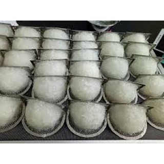 Khuôn đắp tổ yến sào
