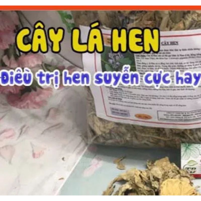 500gr cây lá hen khô