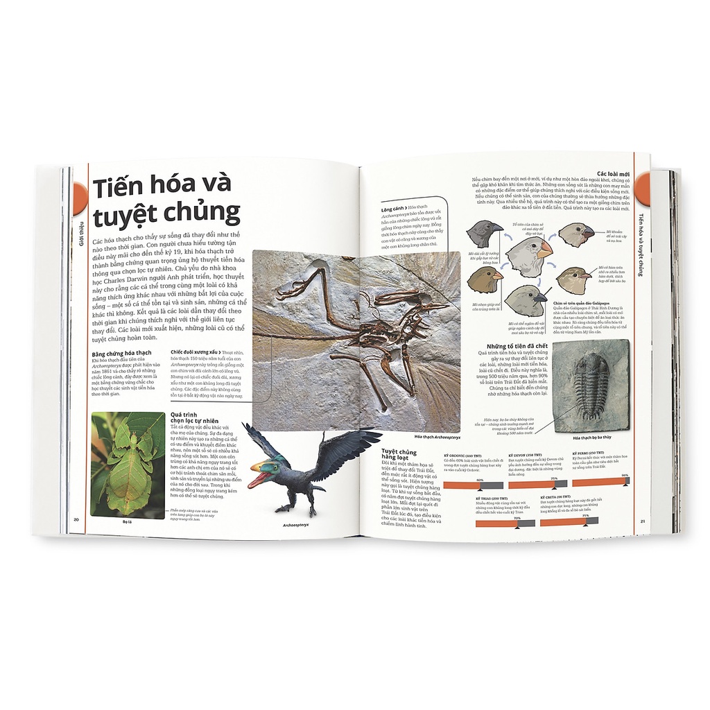 Sách Đông A Khủng Long