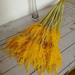 Set 10 Cây Bông Lúa Nhựa Loại 3 Nhánh - Bông Lúa Giả