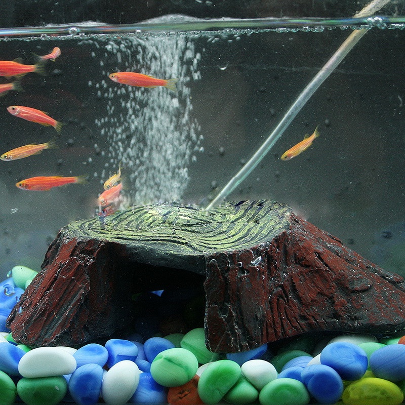 Rùa ShaiTai Leo lên máy vật nuôi rùa Leo đồi JiaShan/nước phơi rùa lưng máy máy bể cá trang trí rùa