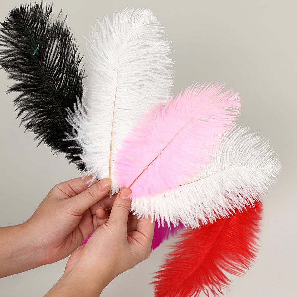 Set 10 Lông Đà Điểu 15-20cm Nhiều Màu Sắc Dùng Để Trang Trí Tiệc Cưới